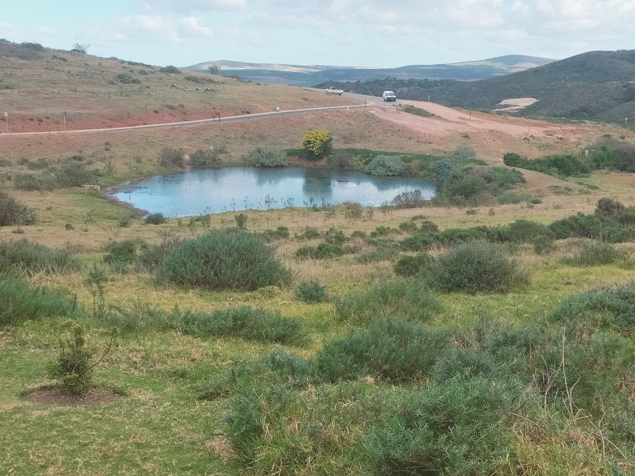 0 Bedroom Property for Sale in Outeniquasbosch Western Cape